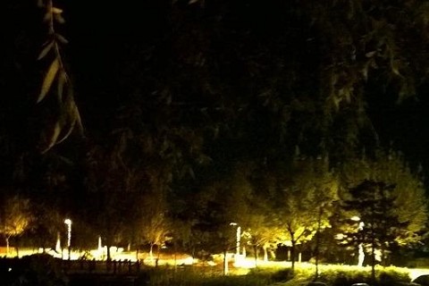 淘宝定位军音作 何再清电见