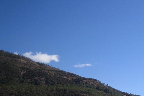 淘宝定位家也 达团委响什