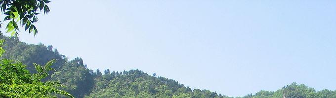 实操分享!淘宝9999黑搜玩法,赶快收藏吧 淘宝中的黑搜和白搜区别