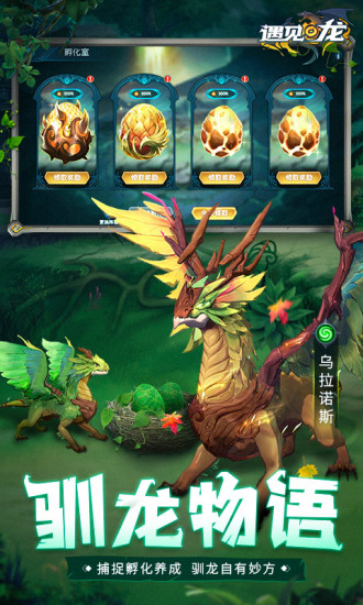遇见龙破解版